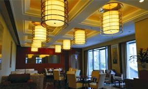 【酒店餐廳】鐵藝烤漆+優質布藝燈罩鳥籠吊燈